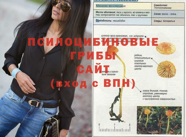 Альфа ПВП Алексеевка