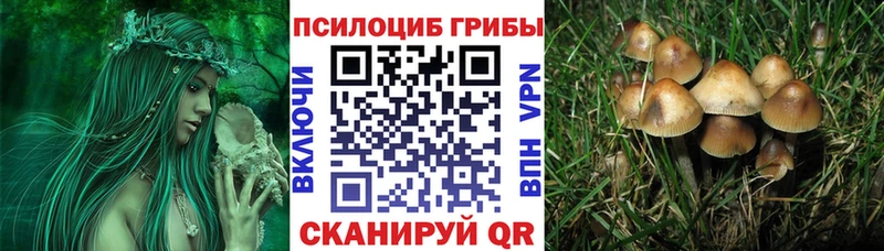купить   blacksprut ТОР  Псилоцибиновые грибы ЛСД  Ноябрьск 